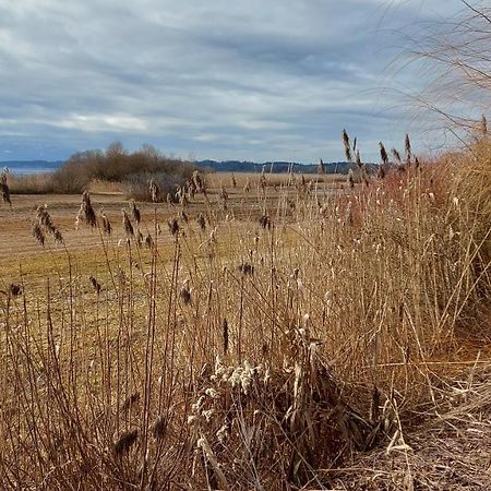 Tiny X Im Marxhof Seebruck Am Chiemsee Зеон-Зебрук Екстер'єр фото